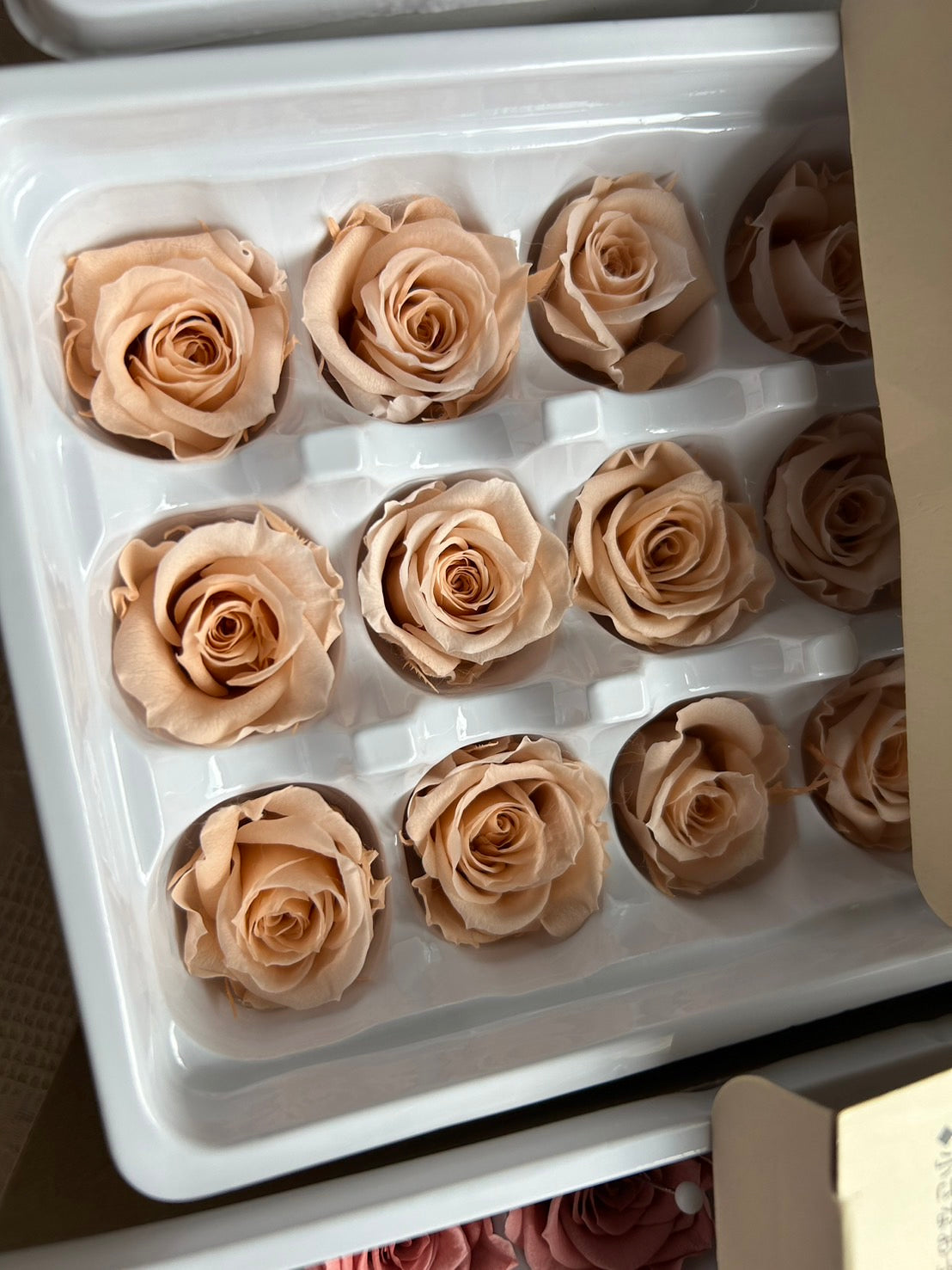 Boutonniere for groom's wedding dried preserved flowers floral corsage